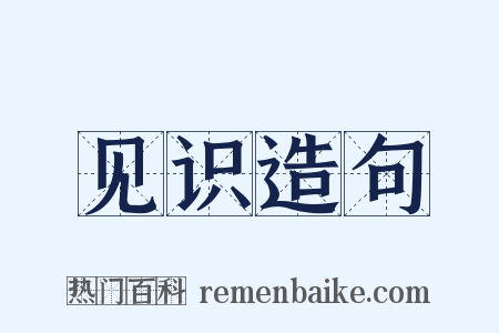 见识造句是什么意思的图片